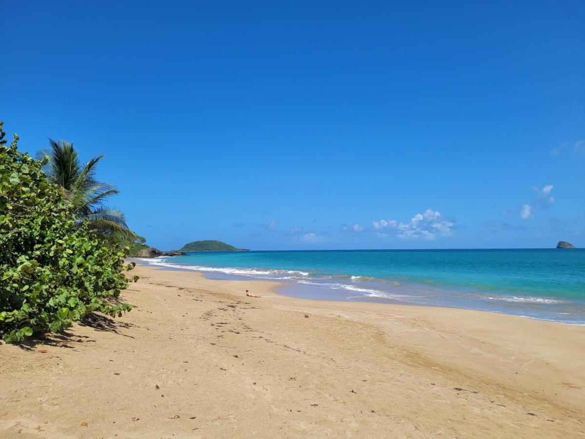 Вилла Domaine Karaibes Деше Экстерьер фото